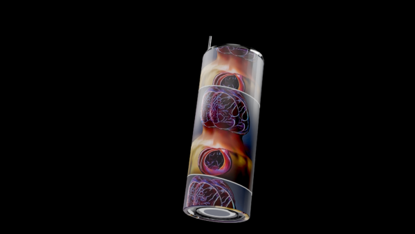 Anatomical Art 20oz Tumbler – Brain & Heart Design - Image 6